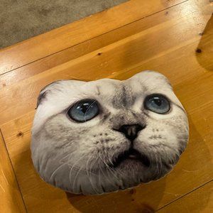 Official Taylor Swift Olivia Pillow